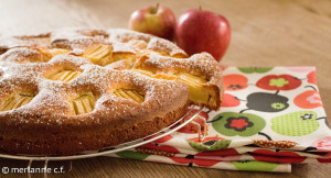 Apfelkuchen sehr fein