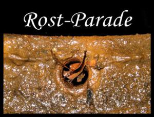 rostparade_logo