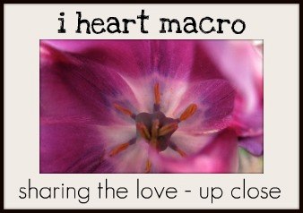 sharethelove