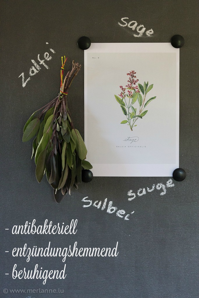 salbei